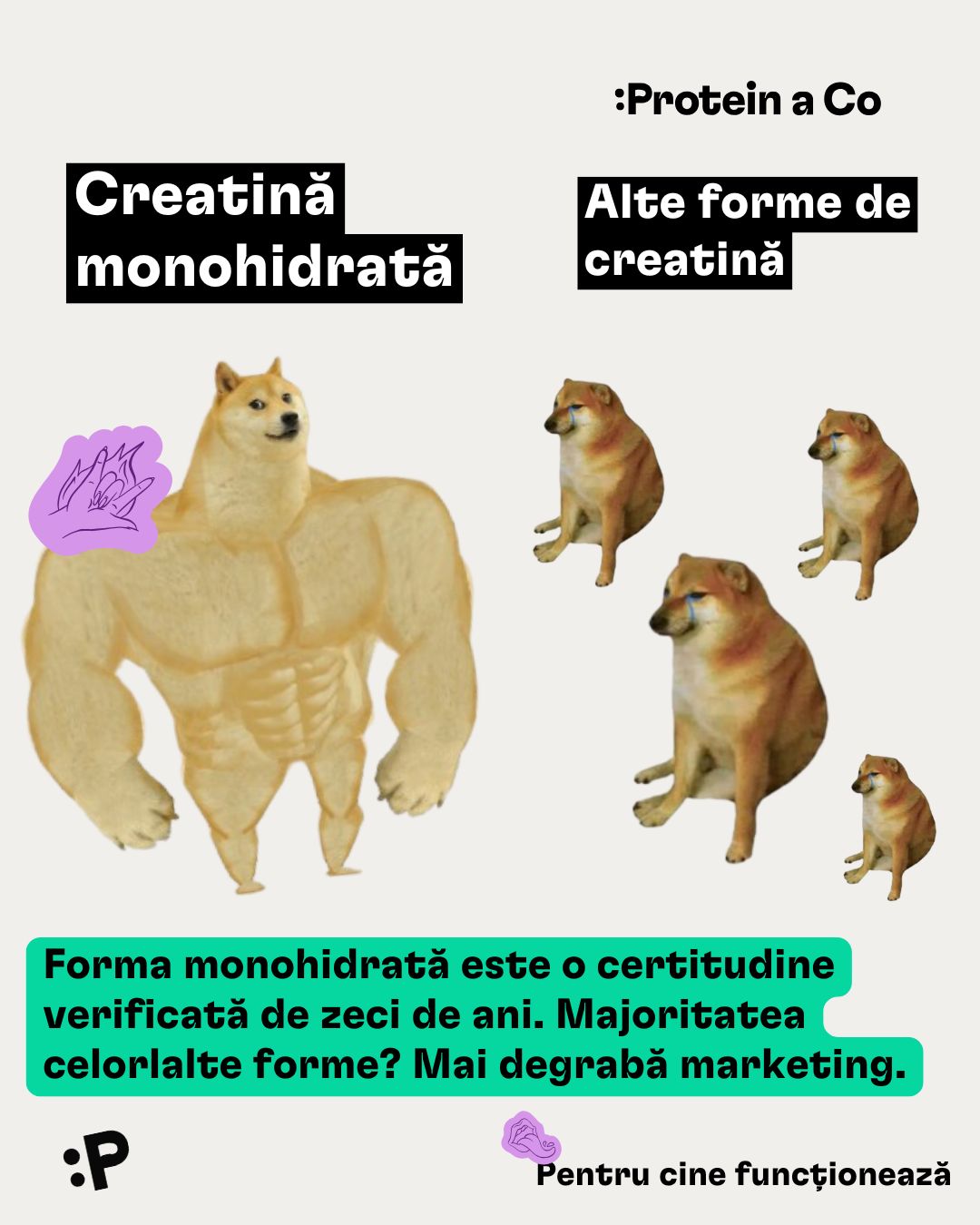 Kreatin-2-RO-clanek-proteinaco